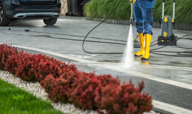 Best Driveway Pressure Washing  in Altoona, IA